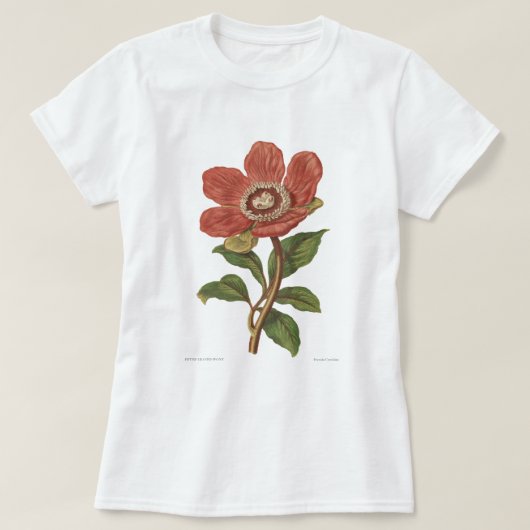 Peony, Antiek Victoriaans botanisch Afbeelding T-shirt (Design voorkant)