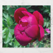 Peony Bier Etiket (Enkel label)