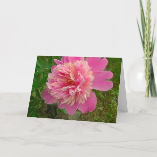Peony Birthday Card Kaart (Voorkant)