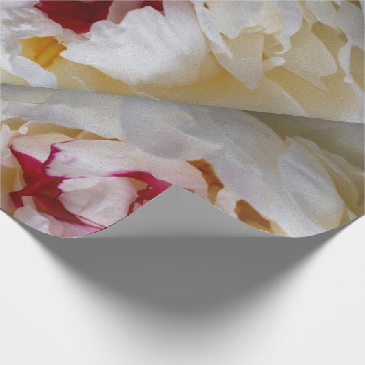 Peony-bladen Cadeaupapier (Hoek)