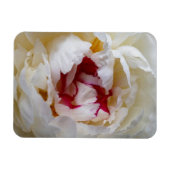Peony-bladen Magneet (Horizontaal)
