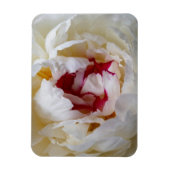 Peony-bladen Magneet (Verticaal)