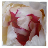 Peony-bladen Tegeltje (Voorkant)