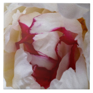 Peony-bladen Tegeltje