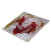 Peony-bladen Tegeltje (Zijkant)