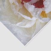 Peony-bladen Tissuepapier (Detail)