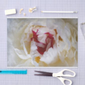 Peony-bladen Tissuepapier (Craft)