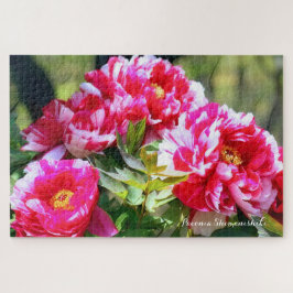 Peony [bloem] legpuzzel