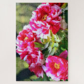 Peony [bloem] legpuzzel (Verticaal)