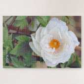 Peony [bloem] legpuzzel (Horizontaal)