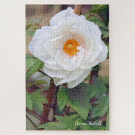 Peony [bloem] legpuzzel