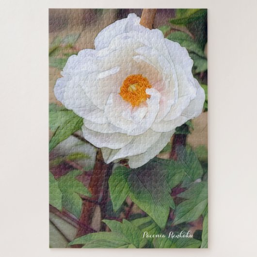Peony [bloem] legpuzzel (Verticaal)
