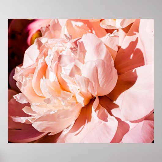 Peony bloemen als luxe florale achtergrond, bruilo poster (Voorkant)