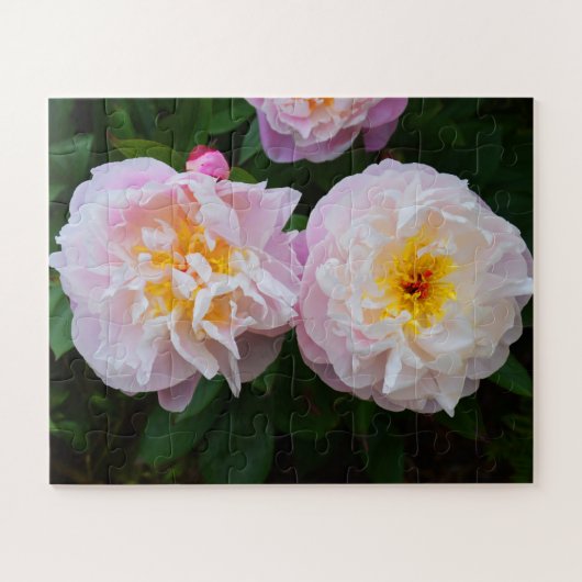 Peony-bloemen Legpuzzel (Horizontaal)