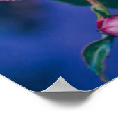 Peony bloemen na regen poster (Hoek)