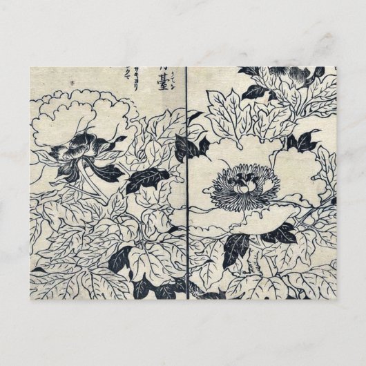 Peony bloesems door Tachibana, Yasukuni Ukiyoe Briefkaart (Voorkant)