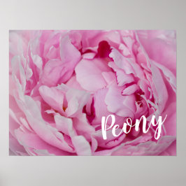 Peony Blossom Roos voor bloemen en tuinliefhebbers Poster