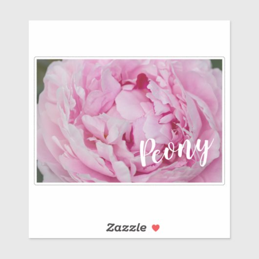 Peony Blossom Roos voor bloemen en tuinliefhebbers Sticker (Vel)