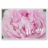 Peony Blossom Roos voor bloemen en tuinliefhebbers Sticker (Voorkant)