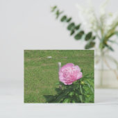 Peony Briefkaart (Staand voorkant)