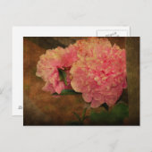 Peony Briefkaart (Voorkant / Achterkant)