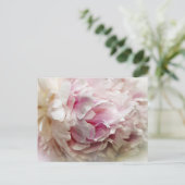 Peony Briefkaart (Staand voorkant)