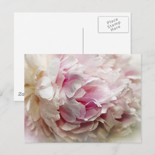 Peony Briefkaart (Voorkant / Achterkant)