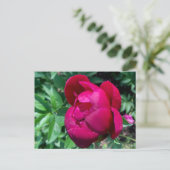 Peony Briefkaart (Staand voorkant)