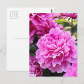 Peony:Briefkaart Briefkaart (Voorkant / Achterkant)