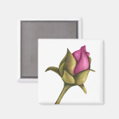 Peony bud magneet (Voorkant / Achterkant)