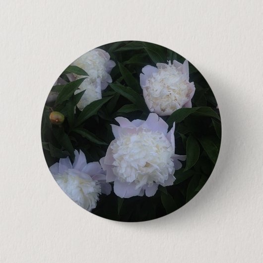 Peony Button (Voorkant)