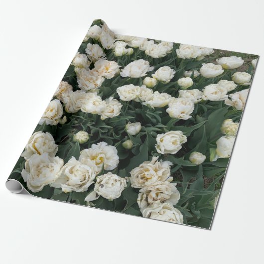 Peony Cadeaupapier (Uitgerold)