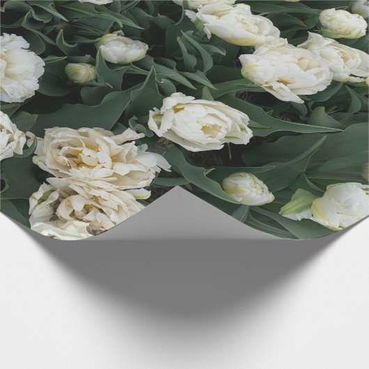 Peony Cadeaupapier (Hoek)
