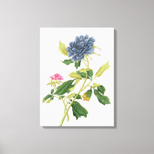 Peony Canvas Afdruk (Voorkant)