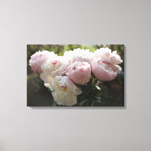 Peony Canvas Kunst (Voorkant)