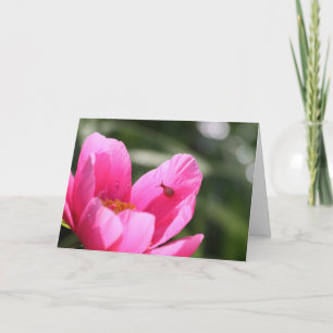Peony "Chameleon" Kaart