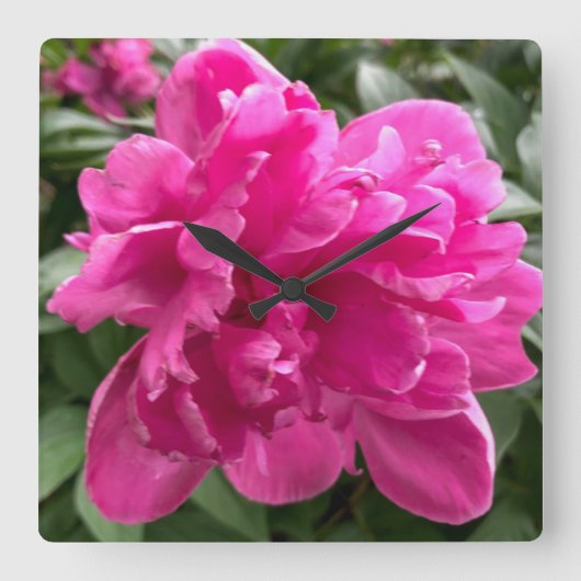 Peony Clock Vierkante Klok (Voorkant)