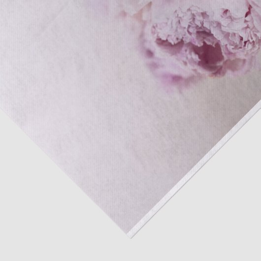 Peony Decoupage Paper rechts Tissuepapier (Detail)