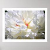 Peony Flame Print (Voorkant)