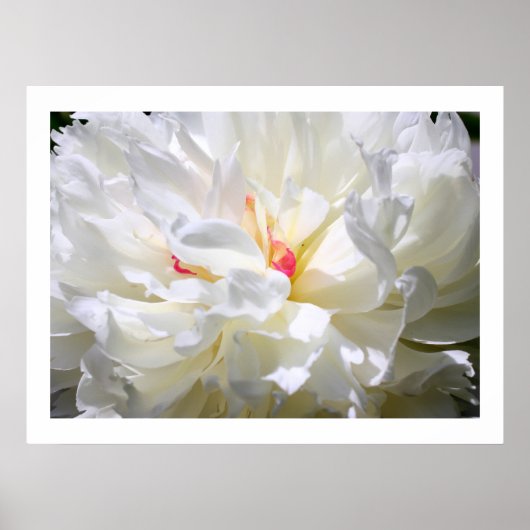 Peony Flame Print (Voorkant)