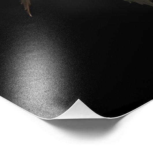 Peony Floral Artwork Foto Afdruk (Hoek)