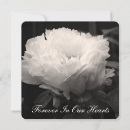 Peony Floral Photography 2 Funeral Announement Kaart