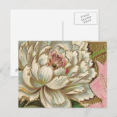 Peony Flower Briefkaart (Voorkant / Achterkant)