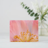 Peony Flower Briefkaart (Staand voorkant)