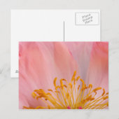 Peony Flower Briefkaart (Voorkant / Achterkant)