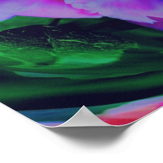 Peony Flower Energy Art Abstract Poster (Hoek)