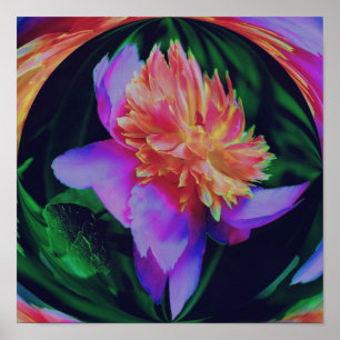 Peony Flower Energy Art Abstract Poster