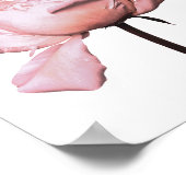 Peony Flower Floral Botanical Poster (Hoek)