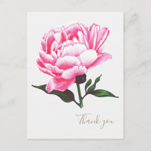 Peony Flower Illustration Pen Tekening Briefkaart