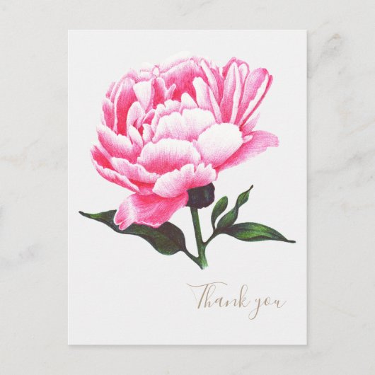 Peony Flower Illustration Pen Tekening Briefkaart (Voorkant)